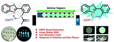 Graphical abstract: A new ESIPT-based fluorescent probe for the highly sensitive detection of amine vapors