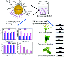 Graphical abstract: An efficient organosilane-modified polycarboxylate dispersant with excellent dispersing performance and superior wettability for tebuconazole suspension concentrate