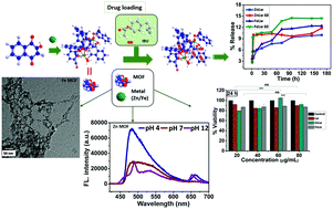 Graphical abstract: Lawsone derived Zn(ii) and Fe(iii) metal organic frameworks with pH dependent emission for controlled drug delivery