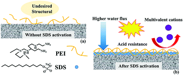 Graphical abstract: A nanofiltration membrane fabricated on a surfactant activated substrate with improved separation performance and acid resistance