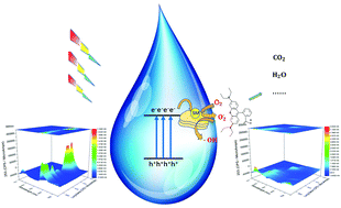 Graphical abstract: Construction of S-doped MgO coupled with g-C3N4 nanocomposites with enhanced photocatalytic activity under visible light irradiation