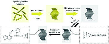 Graphical abstract: A high specific surface 1-(2-pyridylazo) 2-naphthol (PAN)-modified carbon-based silicon film with cellulose nanocrystalline structure for the efficient adsorption of rare-earth elements