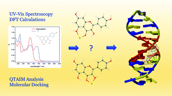 Graphical abstract: Spectroscopic, computational and molecular docking study of Cu(ii) complexes with flavonoids: from cupric ion binding to DNA intercalation