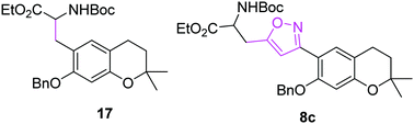 Graphical abstract: Synthesis of novel unnatural α-amino acids (UAAs) containing 7-hydroxy-2,2-dimethyl-chroman using isoxazole as a linker