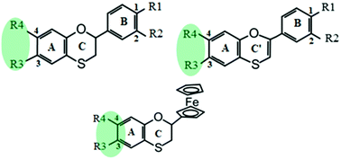 Graphical abstract: Exploring the antioxidant activity of thiaflavan compounds: a quantum chemical study