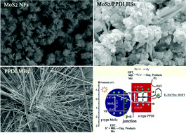 Graphical abstract: Enhancement of visible light driven dye degradation and photocatalytic H2 evolution over MoS2 through combination with perylene diimide aggregates