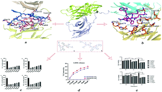 Graphical abstract: Discovery of modulators for the PD-1/PD-L1 interaction by molecular simulation and bioassay