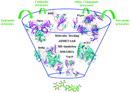 Graphical abstract: Proposing high-affinity inhibitors from Glycyrrhiza glabra L. against SARS-CoV-2 infection: virtual screening and computational analysis