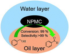 Graphical abstract: N,P co-doped microporous carbon as a metal-free catalyst for the selective oxidation of alcohols by air in water