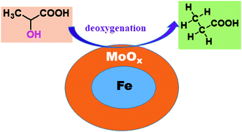 Graphical abstract: Sustainable production of propionic acid: catalytic deoxygenation of lactic acid over MoOx/Fe