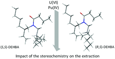 Graphical abstract: Stereochemically enriched extractants for the extraction of actinides