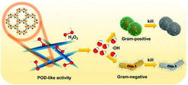 Graphical abstract: Ag-doped Fe-metal–organic framework nanozymes for efficient antibacterial application