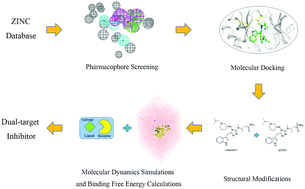 Graphical abstract: Identification of novel Src, Bcl-2 dual inhibitors by the pharmacophore model, molecular docking, and molecular dynamics simulations