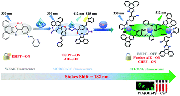 Graphical abstract: A phenanthrene[9,10-d]imidazole-phenol-based fluorescent probe combining ESIPT and AIE for the “turn-on” detection of Cu2+ with green-emission and improved Stokes’ shift, and its application