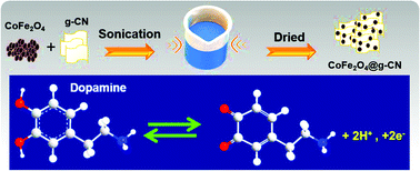 Graphical abstract: CoFe2O4 supported g-C3N4 nanocomposite for the sensitive electrochemical detection of dopamine