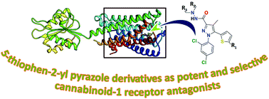 Graphical abstract: Structural, QSAR, machine learning and molecular docking studies of 5-thiophen-2-yl pyrazole derivatives as potent and selective cannabinoid-1 receptor antagonists