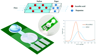 Graphical abstract: A multilayer microfluidic paper coupled with an electrochemical platform developed for sample separation and detection of dopamine