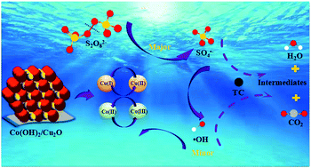 Graphical abstract: A novel Co(OH)2/Cu2O nanocomposite-activated peroxydisulfate for the enhanced degradation of tetracycline