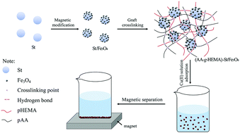 Graphical abstract: Adsorption of Cu(ii) from solution by modified magnetic starch St/Fe3O4-g-p(AA-r-HEMA)