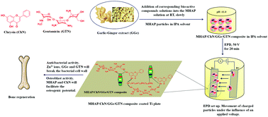 Graphical abstract: The osteogenic and bacterial inhibition potential of natural and synthetic compound loaded metal–ceramic composite coated titanium implant for orthopedic applications