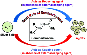 Graphical abstract: Synthesis of biologically active silver nanoparticles using N-containing compounds: the dual role of semicarbazones