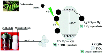 Graphical abstract: Visible light-driven photocatalytic degradation of organic pollutants via carbon quantum dots/TiO2