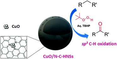 Graphical abstract: Finely dispersed CuO on nitrogen-doped carbon hollow nanospheres for selective oxidation of sp3 C–H bonds