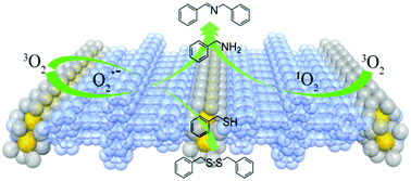 Graphical abstract: Visible-light-responsive lanthanide coordination polymers for highly efficient photocatalytic aerobic oxidation of amines and thiols