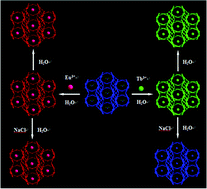 Graphical abstract: A microporous anionic metal–organic framework for aqueous encapsulation and highly reversible sensitization of light-emitting Tb3+ ions