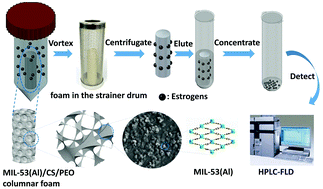 Graphical abstract: Metal organic framework/chitosan/polyethylene oxide composite columnar foam as a sorbent for the enrichment and determination of estrogens in environmental aqueous solutions