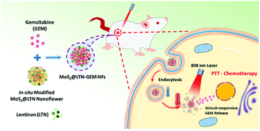 Graphical abstract: One-step in situ growth of MoS2@lentinan as a dual-stimuli-responsive nanocarrier for synergistic chemo-photothermal therapy