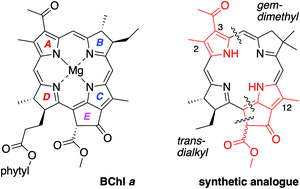 Graphical abstract: Synthesis of model bacteriochlorophylls containing substituents of native rings A, C and E