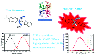 Graphical abstract: A quinoline–benzothiazole hybrid as the first near-infrared fluorescent probe for transthyretin