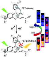 Graphical abstract: Novel PET-pperated rosamine pH-sensor dyes with substitution pattern-tunable pKa values and temperature sensitivity