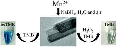 Graphical abstract: Facile one-pot synthesis of Mn3O4 nanorods and their analytical application