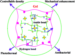 Graphical abstract: Synthesis and characterization of photothermal antibacterial hydrogel with enhanced mechanical properties