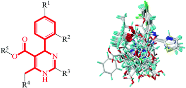 Graphical abstract: 3D-QSAR, molecular docking and molecular dynamics simulations analyses of a series of heteroaryldihydropyrimidine derivatives as hepatitis B virus capsid assembly inhibitors