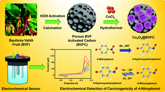 Graphical abstract: Fabrication of Co3O4 nanoparticle-decorated porous activated carbon electrode for the electrochemical detection of 4-nitrophenol