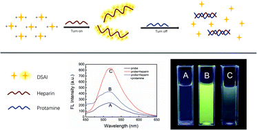 Graphical abstract: A cationic on–off fluorescent sensor with AIE properties for heparin and protamine detection