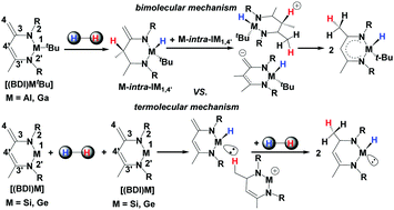 Graphical abstract: Theoretical insight into dihydrogen activation with β-diketiminato ligand supported Group 13 and 14 elements: mechanism and activity difference