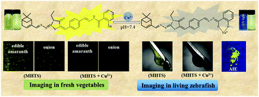 Graphical abstract: A novel AIE fluorescent probe based on myrtenal for Cu2+ detection in a near-perfect aqueous medium and bioimaging in vegetables and zebrafish