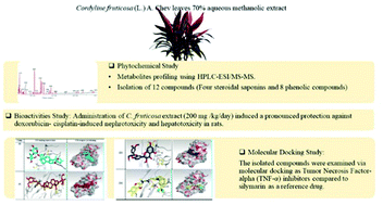 Graphical abstract: Cordyline fruticosa (L.) A. Chev. leaves: isolation, HPLC/MS profiling and evaluation of nephroprotective and hepatoprotective activities supported by molecular docking