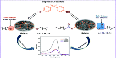 Graphical abstract: Organogelators derived from the bisphenol A scaffold