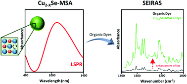 Graphical abstract: A facile route toward hydrophilic plasmonic copper selenide nanocrystals: new perspectives for SEIRA applications