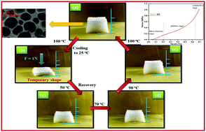 Graphical abstract: A study on sisal-based polyurethane foam with multi-shape memory properties