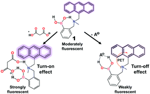 Graphical abstract: Anion recognition by anthracene appended ortho-aminomethylphenylboronic acid: a new PET-based sensing mechanism