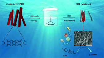 Graphical abstract: Self-assembly and boosted photodegradation properties of perylene diimide via different solvents