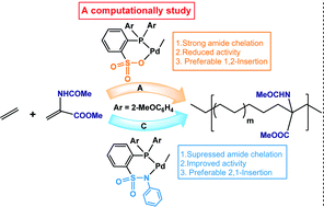 Graphical abstract: Computational study of the copolymerization mechanism of ethylene with methyl 2-acetamidoacrylate catalyzed by phosphine-sulfonate palladium complexes
