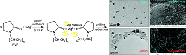 Graphical abstract: Antimicrobial and biological effects of polyaniline/polyvinylpyrrolidone nanocomposites loaded with silver nanospheres/triangles