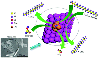 Graphical abstract: Bifunctional Pt–Mo catalyst for in situ hydrogenation of methyl stearate into alkanes using formic acid as a hydrogen donor